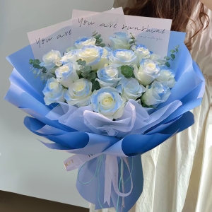 ε���Ǻ�-19�������õ�壬�ȼ���Ҷ��׺����װ����ɫŷ��ֽ��Ӣ��ֽ���ڳİ�ɫѩ��ֽ������װ��