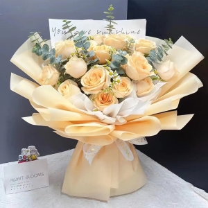 ��������-19֦����õ�壬��ʾգ��ȼ���Ҷ��׺ ��װ������Ӣ��ֽ�������Ļ�ɫŷ��ֽ������װ��